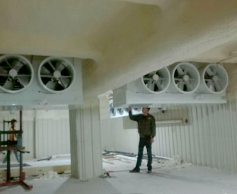 տ����Ϫ�d��ʳƷ